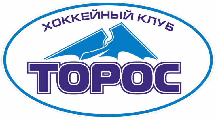 Toros Neftekamsk 2010-Pres Primary Logo iron on heat transfer